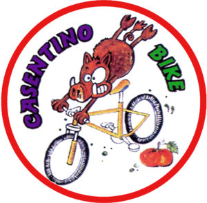 logo casentino bike cinghiale copia